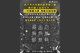 #首个考古发掘的新罗质子墓揭开墓主金泳生平  ：三代留唐为质，两度归国宣慰，48岁时在长安去世并葬于长安，其夫人出身于属高门氏族的太原王氏，墓室被盗扰，人骨不存，葬式不明视频封面