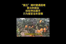 “烟王”褚时健遇困难，昔日的朋友，纷纷伸出援手，只为报答当年恩情 #褚时健 #名人大咖 #褚橙nfc鲜榨果汁