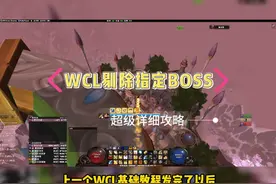 WCL基础教程筛选指定BOSS数据，快来查看你的DPS排行吧视频封面