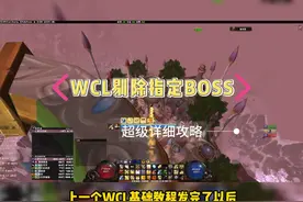 WCL基础教程筛选指定BOSS数据，快来查看你的DPS排行吧
