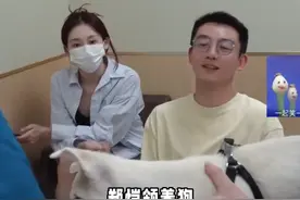 从小狗主动保护朋友的那一刻，郑恺就已经下定决心要带它走了#郑恺 #狗视频封面