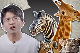猜猜看，斑马是白马黑条纹？还是黑马白条纹？ #知识前沿派对视频封面