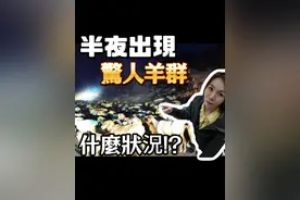 台灣夫妻在大陸--新疆這是什麼狀況!! #新疆自駕 #新疆旅遊视频封面