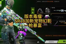 版本强毒瘤，SR18搭配新宠物幻影，一用一个不吱声#萤火突击