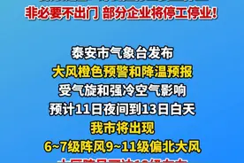 极端天气来袭！泰安突发12级狂风+骤降14℃！官方提醒：即日起停止高空作业
  非必要不出门  部分企业将停工停业！