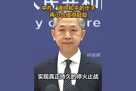 中方：通向和平的步子再小也值得鼓励，保护平民的困难再大也应当努力克服，欢迎一切利于促成停火缓解局势的努力视频封面