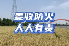 麦收安全｜快板·麦收防火  人人有责#消防消防#防火安全视频封面