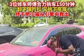 车内钻进一直小猫，车主果断决定拆车救出！（供稿：@萌姐在 ）视频封面