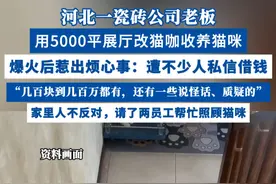 河北一瓷砖公司老板将5000平展厅改猫咖收养猫咪，爆火后遭不少人私信借钱视频封面