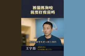 被家养猫狗抓伤咬伤怎么办？一定要打疫苗吗？ #新手养猫 #科学养宠攻略 #养猫经验分享 #狂犬病 #狂犬疫苗视频封面