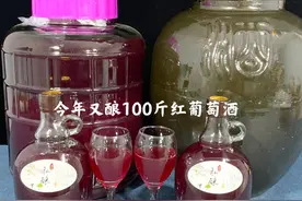 又到做葡萄酒季节了，我每年都酿几百斤红葡萄酒，从来没有失败过视频封面