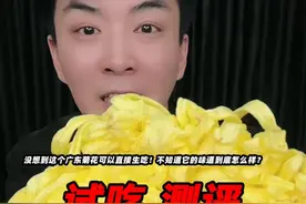没想到在广东菊花居然还可以生吃！不知道它的味道到底怎么样？ #可食用菊花 #测评 #菊花刺身 #试吃 #星仔实测视频封面
