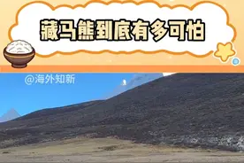 原来这么多门是为了保命用的#野生动物 #旅游 #安全 #内容启发搜索视频封面