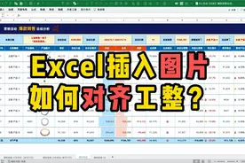 Excel插入图片对齐工整的实操小技巧 #小秋的Excel视频封面