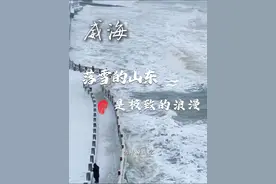 想追求极致的浪漫，那就来海边看雪吧，山东的“雪窝子”们又又又下雪了！#瑞雪兆丰年 #我的城市下雪了 #雪与海的浪漫 #有海有雪的城市 #在山东花式过冬