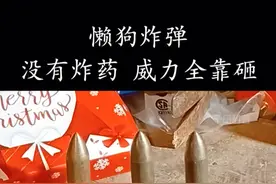 奇葩武器懒狗炸弹，没有炸药，威力全靠砸！视频封面