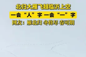 北归大雁飞越临沂上空，一会“人”字一会“一”字。网友：雁北归 冬将尽 春可期（市融媒体中心记者 李萍）#临沂视频封面