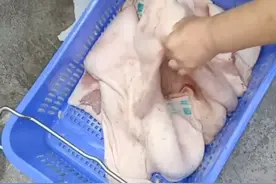 6月23日报道，四川自贡富顺一小学食堂被举报使用“发臭猪肉”，官方通报：就地封存，已送检#大象主播说 @大象新闻主播嘉祥