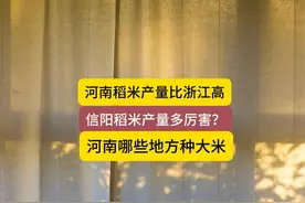 河南大米产量，信阳大米产量 #河南 #信阳大米 #河南稻田 #濮阳视频封面