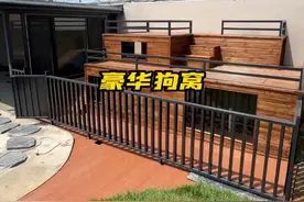 谁家能用上这么大个狗窝呀！ #我的乡村生活 #小院改造 #记录装修过程 #狗窝 #村口大刘视频封面