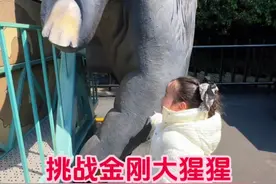 我和爸爸挑战大猩猩摇摇车，好开心呀 #亲子互动 #儿童动画 #Ddrops滴卓思 #滴卓思海藻钙视频封面