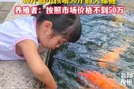 40斤的小孩喂50斤的大锦鲤 #好运锦鲤 #锦鲤宝宝视频封面