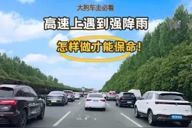 高速上遇到强降雨看不清路，怎么办？这样操作能保命！ #哈弗大狗