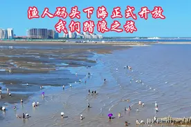 8月1日奉贤渔人码头开放了，请注意下海时间表 #渔人码头 #奉贤 #海 #奉贤海滩 #下海视频封面