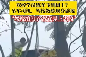 驾校学员练车飞到树上？吊车司机、驾校教练现身辟谣：驾校拍段子，故意弄上去的。