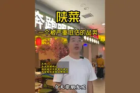陕菜为啥没能走向全国 #餐饮 #陕菜