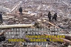 怒江大水，下游百姓疯狂打捞冲下来的木材，下游傈僳族日常生活主要依赖烧柴，曾有人在大水中捞木材卖了10多万，当地工作人员：去年有人被卷走，24小时巡逻都劝不住