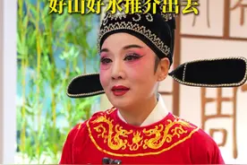 韩再芬：要把我们安徽的好山好水推介出去 #第十四届安徽国际文化旅游节  #美好安徽迎客天下  #韩再芬  #黄梅戏  #大黄山视频封面