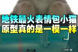 地铁模式最火表情包的原型找到了 地铁模式最火表情包的原型找到了#和平精英空投节  #和平精英地铁逃生  #和平精英刺激战场模式   #和平精英 #和平精英空岛集结