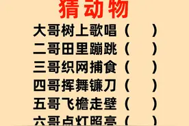猜动物名：大哥树上唱？二哥田里跳？三哥网捕食？四哥舞镰刀？视频封面
