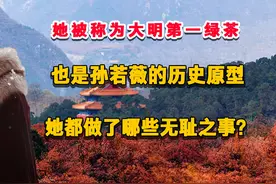 她是大明第一绿茶，也是孙若薇的历史原型，她都做了哪些无耻之事视频封面
