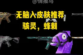 骇灵，蜂刺无脑入皮肤推荐
#无畏契约 #无畏契约正式上线 #情报马
