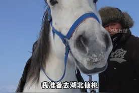 新疆大叔依立拜骑马跳江救人痛失爱马，新疆博州千里送白马，赛里木湖白马接力“白龙”，依立拜：将在恰当时候迎接白马“回家”。（剪辑：鲲鹏）视频封面