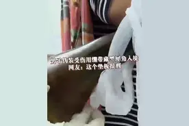 #男子伪装受伤用绷带藏黑犀角入境  被海关查获，网友：这个垫板很刑#海关 #海关查验视频封面