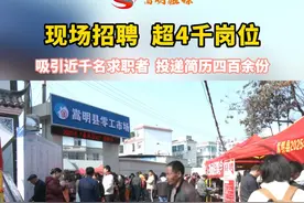 春风送岗丨2月14日，嵩明县举行2025年“春风行动暨农村劳动力转移就业百日攻坚行动”启动仪式，吸引近千名求职者，投递简历四百余份！#看见嵩明#就业视频封面