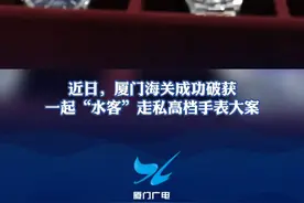 案值高达2亿元！厦门海关破获特大走私手表案，涉及理查德米勒、百达翡丽多个品牌！ #厦门 #海关 #手表 视频封面