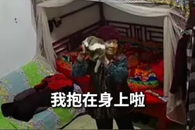 91岁奶奶家中突然迎来一只小猫，通过监控与孙女分享这份快乐。#治愈 #可爱 #秀我中国视频封面