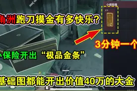三角洲跑刀摸金有多快乐？低成本高收益，小保险开出“极品大金”