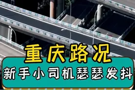 地图是平面的，重庆是立体的#重庆 #开车 #搞笑