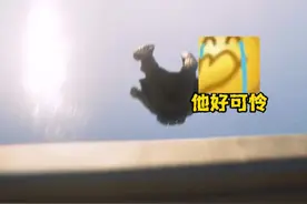 震惊？卖了队友居然还在用这种方式补偿？ #三角洲行动视频封面