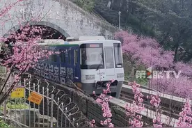 今起三天重庆最高或达22℃！注意脖颈、脚踝保暖，及时增减衣物，不负春光的同时谨防着凉！#第1眼TV口说有屏 #抖音精选计划视频封面