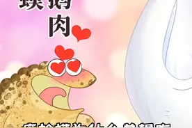 不靠谱传说之癞蛤蟆想吃天鹅肉是怎么诞生的？#俗语 
