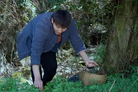 《白蒿饭》 每一口都带着大自然的味道，它是农村生活的一抹独特色彩，是大自然赐予的美味珍馐！#尝一口春天的味道 #乡野春日地图 #农村美食 #新农人计划2025视频封面