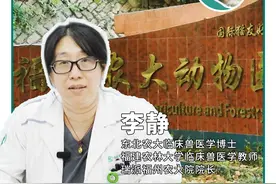 猫哮喘确诊记：呼吸急促背后的真相与治疗之路🐾 家人们，可爱的喵星人突然呼吸急促，可把主人吓坏了！带来医院一看，原来是猫哮喘在作祟。看着它难受的样子，主人心里很心疼。在这里给各位铲屎官提个醒，要多留意毛孩子的呼吸状况呀！#猫哮喘 #宠物健康 #瑞派宠物医院视频封面