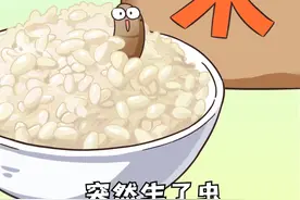 大米是怎么长出虫子的？别心疼，淘米时浮上来的米就倒了吧~#抖音美食创作人 #涨知识 视频封面
