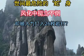 世间最危险的‘蛇’身，风化中挺立不倒，却被人为打入26枚岩钉？#三清山巨蟒峰 #航拍下的中国 #内容启发搜索视频封面